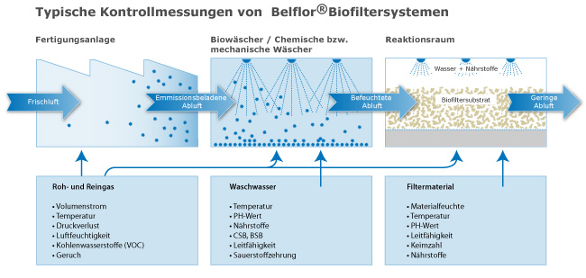 Typische Kontrollmessungen von Belflor Biofiltern Abbildung einer typischen Kontrollmessung eines Belfor Biofilters